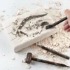 Dinosaur Excavation Fossil Archaeology Scientific and Educational Toy DIY Assembly Simulation Dinosaur Skeleton Animal Model - Image 2
