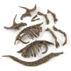 Dinosaur Excavation Fossil Archaeology Scientific and Educational Toy DIY Assembly Simulation Dinosaur Skeleton Animal Model - Image 3
